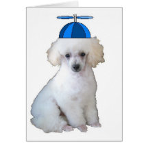 Ditzy Dogs~Original Notecard~Poodle