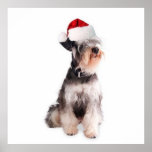 Ditzy Dogs~Original Poster~Miniature Schnauzer
