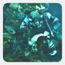 Diver Feeding Fish Square Sticker