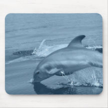 Diving Dolphin Mouse Pad