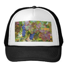 Divinity Mesh Hats