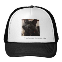 Dixie-Flamingo the future King Hats