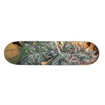 Dja Board Custom Skateboard