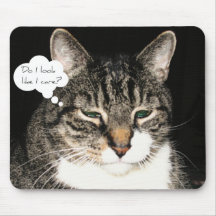 Do I look like I care? Mouse Mat
