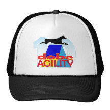 Dobe Agility 10th Anniversary Hat