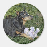 Doberman Rescue "Capone" Magnet