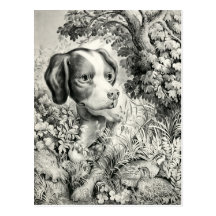 Dog 2012 Calendar Postcard