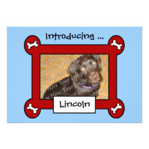 Dog Adoption or Birth Announcements (Red & Blue)