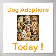 Dog Adoptions Today Signs Poster
