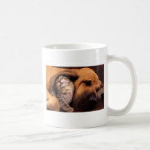 Dog and Cat - Friends Forever Mug
