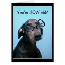 Dog birthday funny greeting card