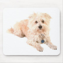 Dog Canine pets animals pet lovers kennels Mouse Mat