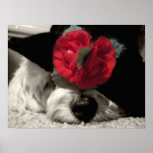 Dog Dressed Up Print