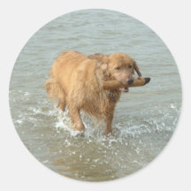 dog fetching stick Sticker