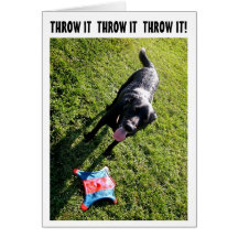 Dog humour birthday card