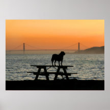 Dog in San Francisco Sunset poster