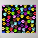 Dog Paws Trails Pawprints Red Blue Green Yellow
