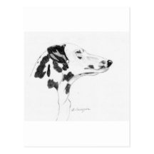 Dog Post Card