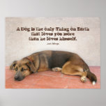 Dog Quote Posters