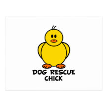 Dog Rescue Chick Post Card