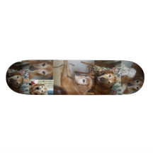Dog Skater skateboard