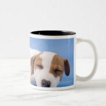 Dog sleeping mug