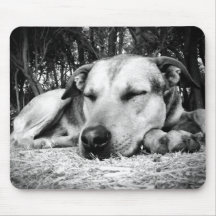 Dog Sleeping Napping Mousepad Gifts for Dog Lovers