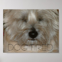 Dog tired poster