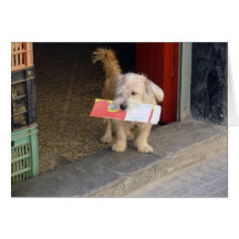 Dog with Newspaper Greeting Card