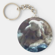 dog with teddys keychain