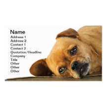 Doggy Business Card
