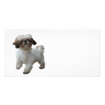 Doggy Tobby Photokartenvorlage