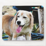 Dogs Beagles Tongues Fur Panting Mousepads