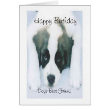 Dogs Best Friend Greeting Cards