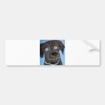 dogs by eric ginsburg bumper sticker