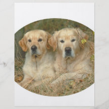 Dogs Flyer Design
