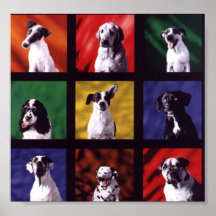 Dogs Posters
