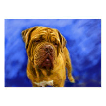 Dogue de Bordeaux ACEO Art Trading Cards Business Card