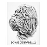 Dogue De Bordeaux - French Mastiff Photo Art