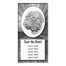 Dogue De Bordeaux - French Mastiff Photo Card Template