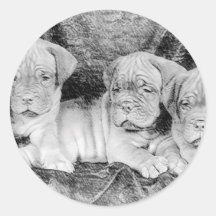 Dogue de Bordeaux puppies stickers