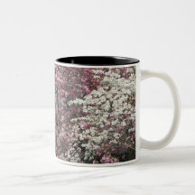 Dogwood's Delight Mug