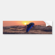 Dolphin at sunset bumper stickers