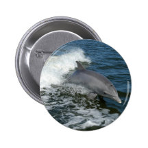 Dolphin Button