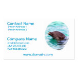 Dolphin Design Business Card business cards
