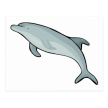 Dolphin Dolphins Marine Mammals Blue Fish Animal Post Cards