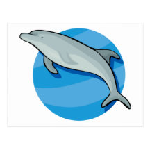 Dolphin Dolphins Marine Mammals Blue Ocean Animal Post Cards