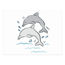 Dolphin Dolphins Marine Mammals Ocean Post Card