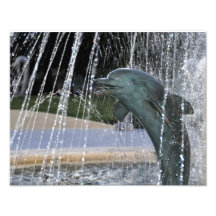 Dolphin Fountain Photo