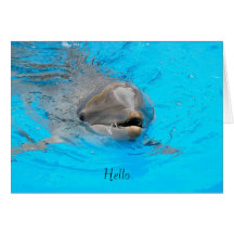 Dolphin Hello  Greeting Card